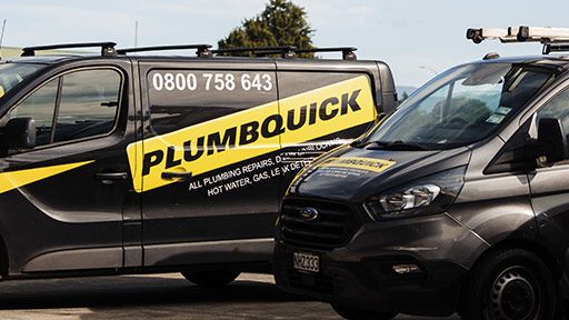 Professional Mangaroa Plumbers